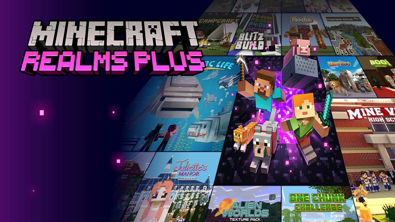 Minecraft Realms