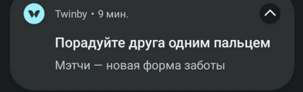 пример провокационного пуша Twinby