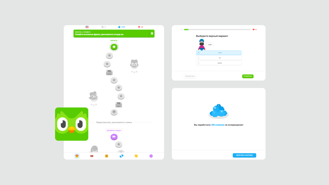 Duolingo – платформа для изучения языка Duolingo