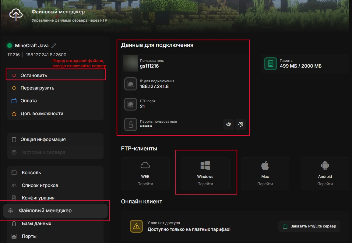 Файловый менеджер CastleHost