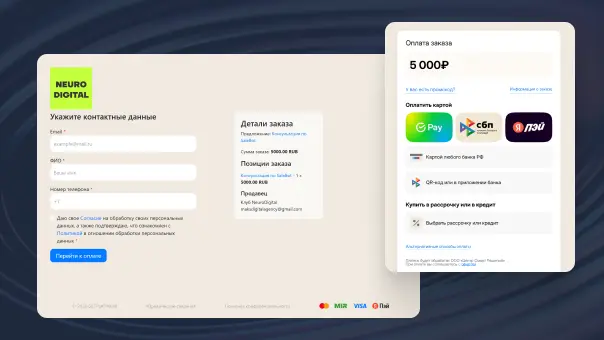 Форма оплаты GetPlatinum — способы оплаты для клиентов