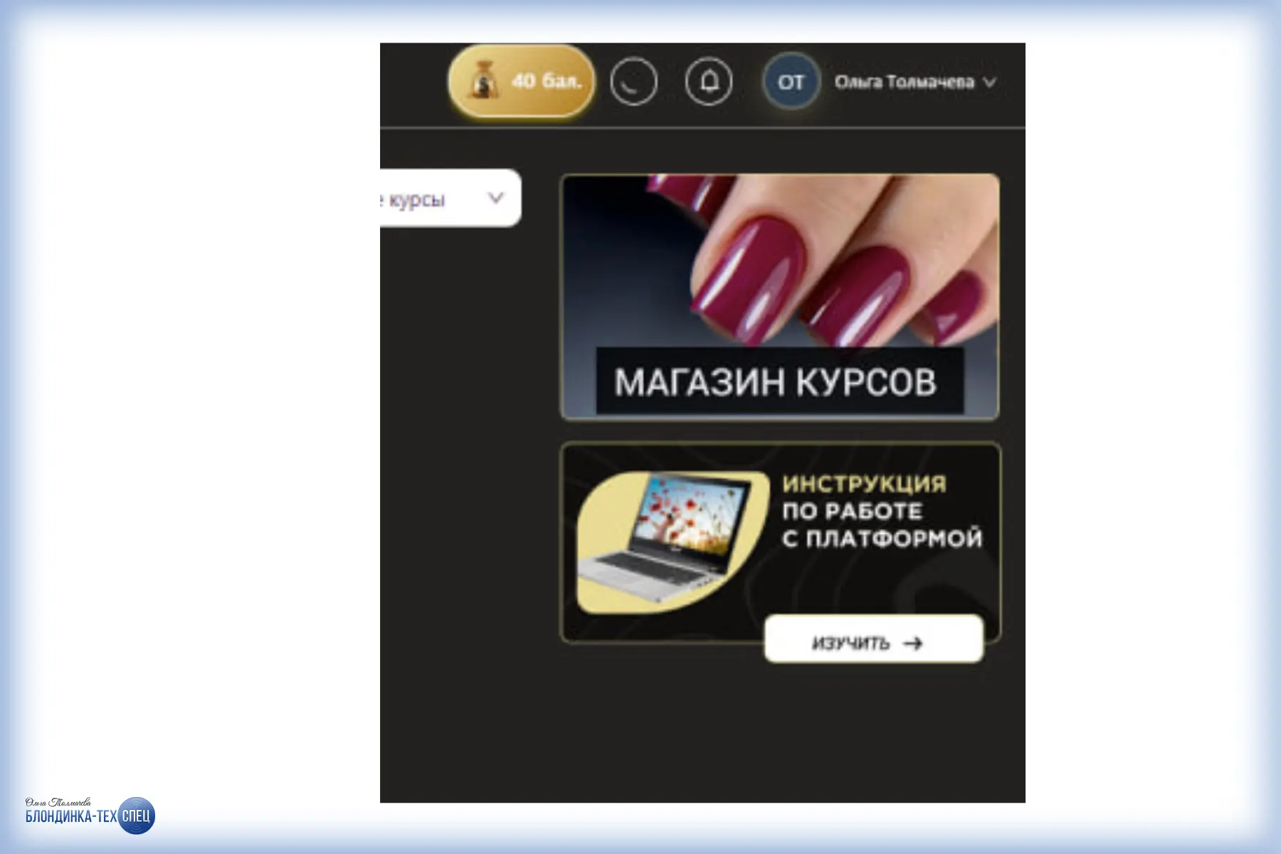 Кастомизация Prodamus.XL - виджет курсов и виджет инструкций