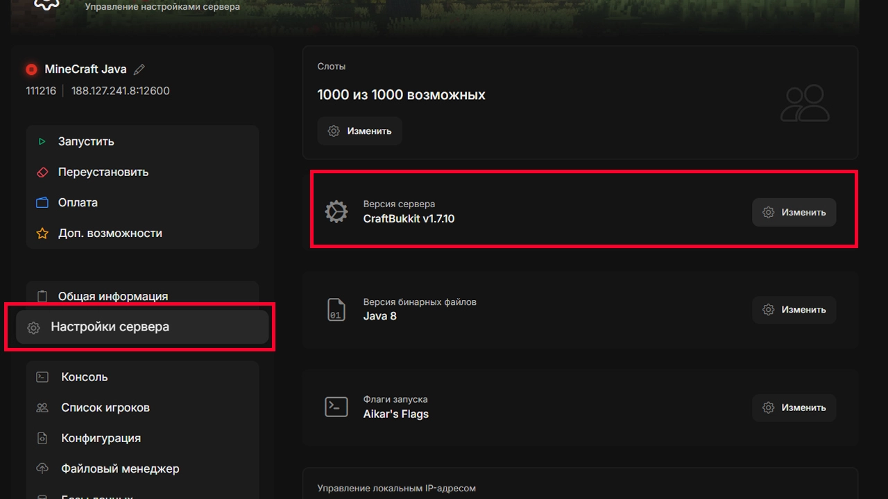 Настройки сервера CastleHost