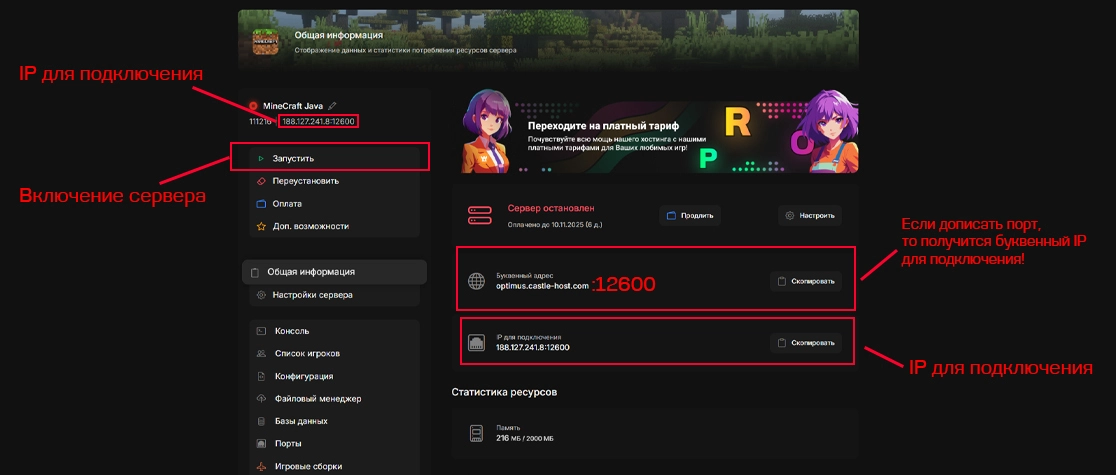 Расположение IP сервера на CastleHost