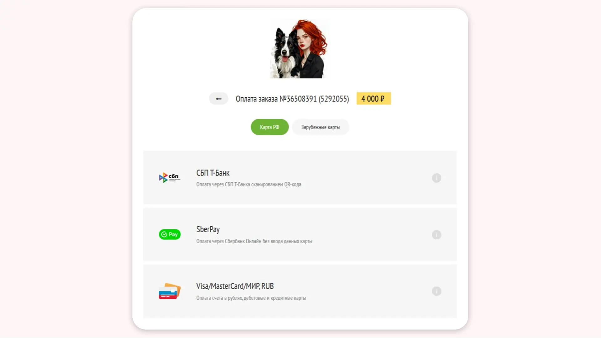 Prodamus принимает платежи картами Visa и MasterCard. Это удобно для большинства клиентов из других стран