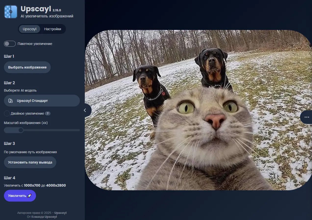 Интерфейс Upscayl