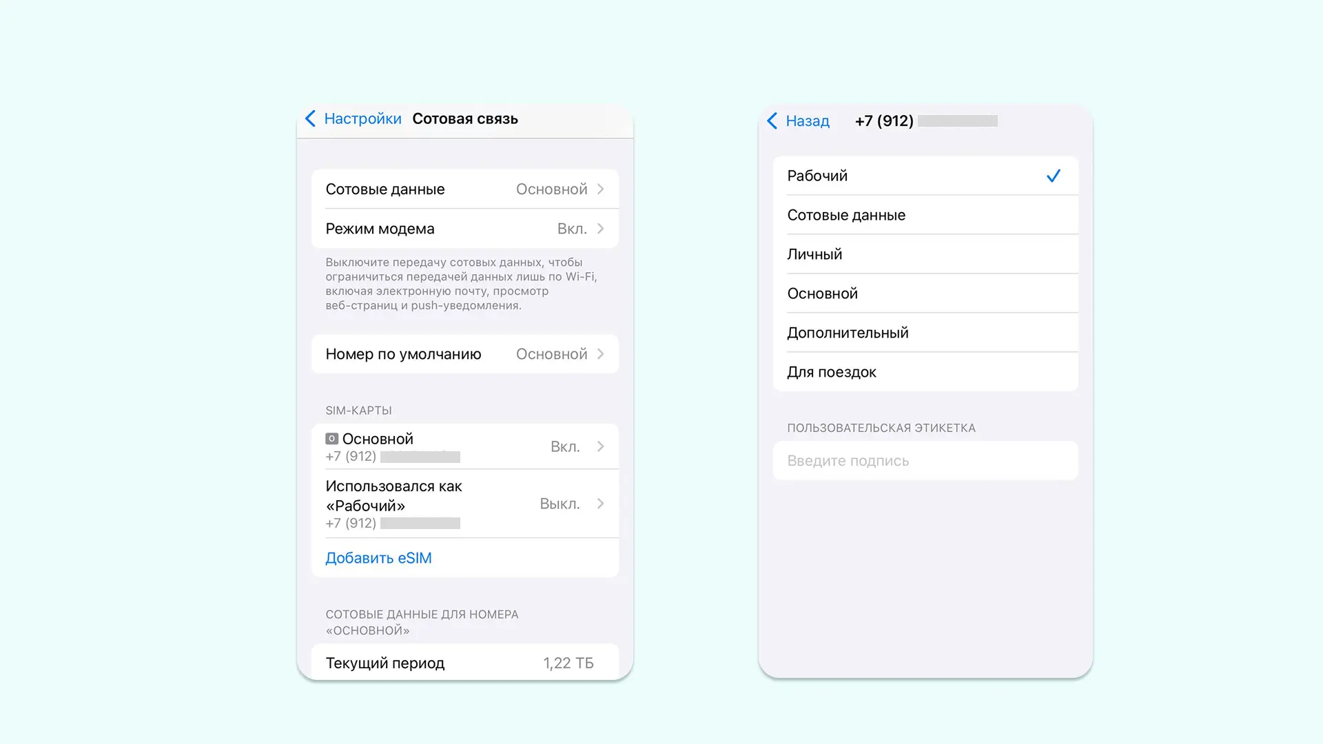 Меню для подключения и настройки eSIM в  iPhone Меню для подключения и настройки eSIM в  iPhone
