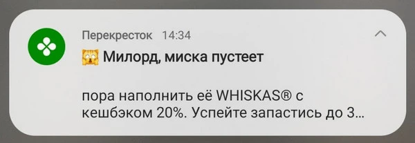 пример пуша с отсылкой «Перекрёсток»