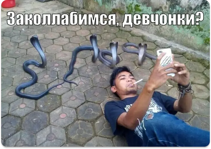 коллабы